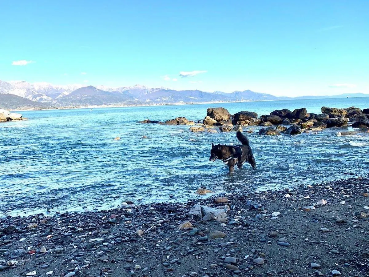 River Park Hotel Ameglia